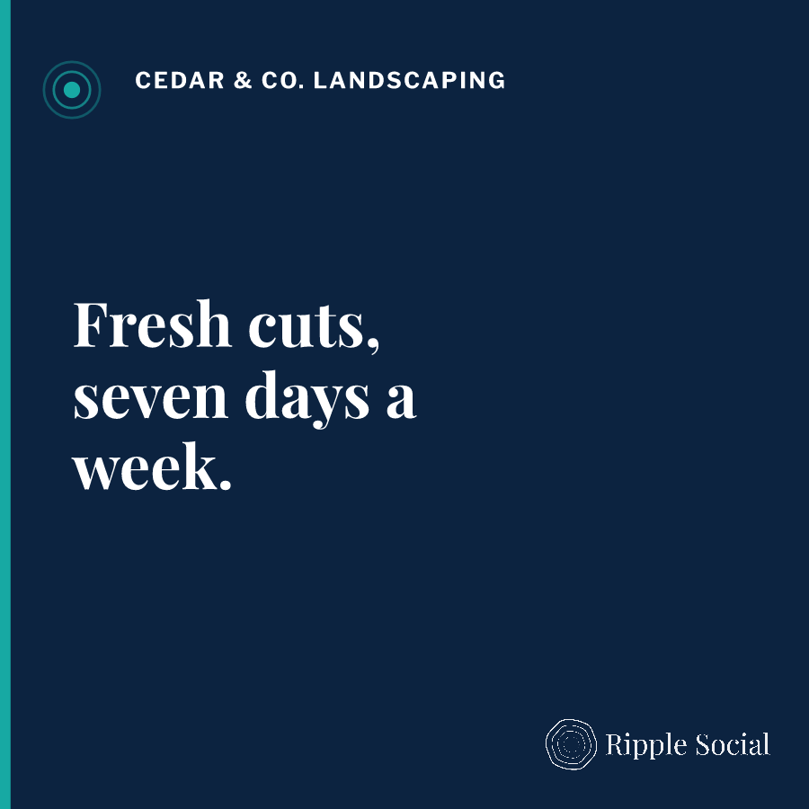 Example post created in Ripple Social